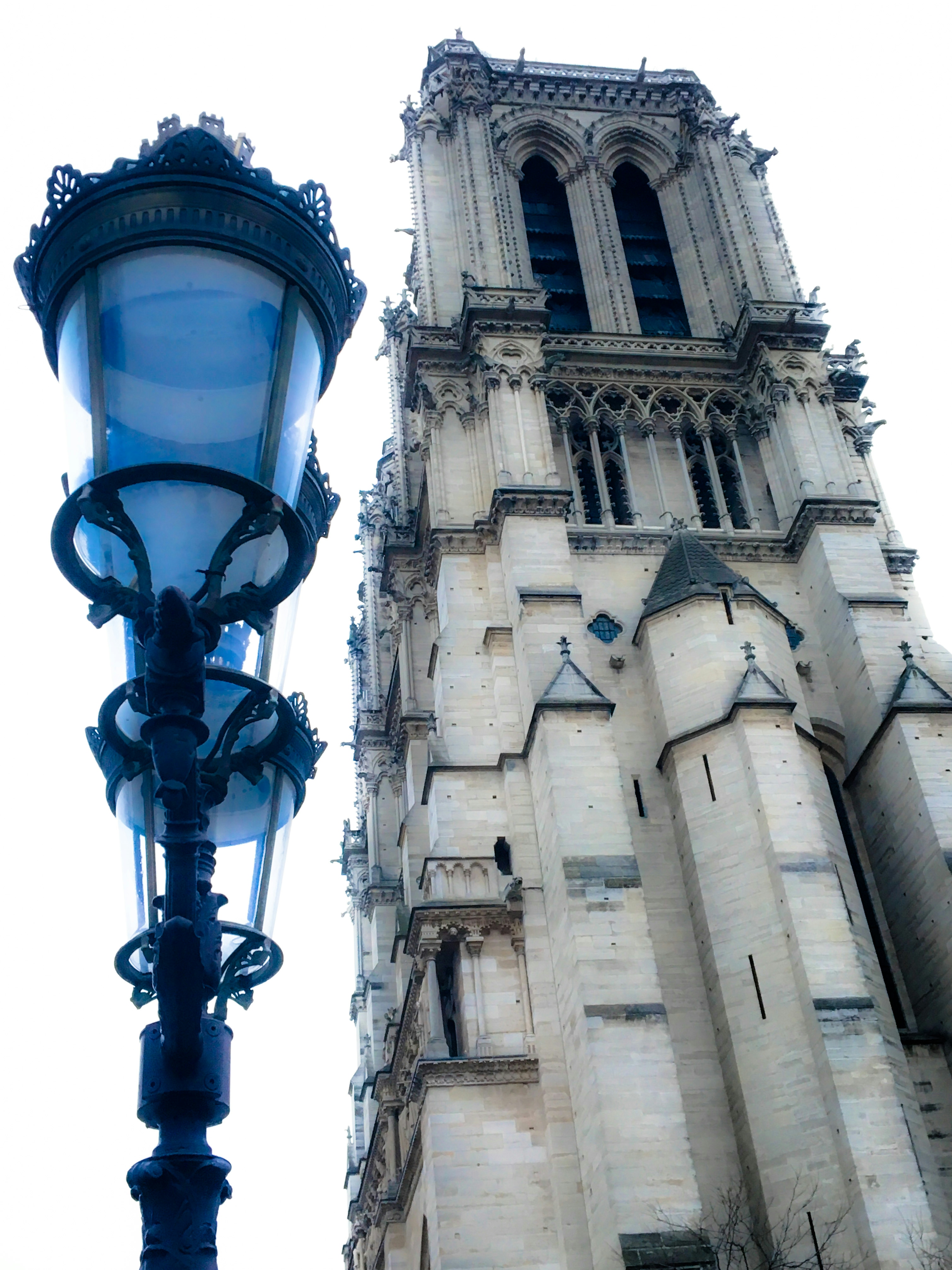 Notre Dame & sreetlamp cast in blue by bright sky, photographed by Jeff Kraft